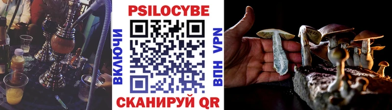 купить   маркетплейс официальный сайт  Псилоцибиновые грибы Psilocybine cubensis  Мещовск  MEGA tor 